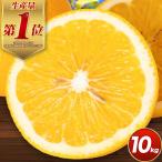 ご はっさく八朔約10kg