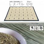 い草玄関マット DXレスパル ブルー 67×90