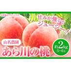 ふるさと納税 あら川の桃 約2kg 5-6玉 山名農園 《2025年6月下旬-8月下旬頃出荷》 和歌山県 紀の川市 桃 もも モモ 白鳳 白桃 フルーツ 果物.. 和歌山県紀の川市