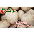 fu.... налог 2026 год .. семена остров дешево . средний . ферма новый картофель 3L размер и больше 10kg NFN428 [300pt] Кагосима префектура запад . таблица город 