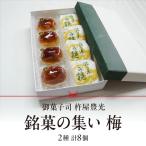 銘菓の集い 梅 2種計8個
