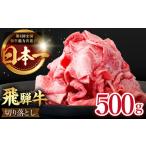 飛騨牛 切り落とし 500g
