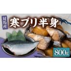 対馬 寒 ブリ 片身 800g