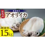アオリ イカ 刺身用 1.5kg
