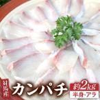 対馬 カンパチ 3枚おろし 約2kg