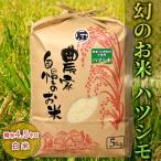 ハツシモ 精米 白米 農薬 化学肥料不使用