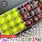 2種類のブドウ 宝石箱 18粒