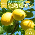 完熟 レモン 7kg