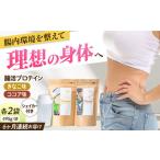 乳酸菌プロテイン きなこ&amp;ココア味 各1袋×6ヶ月