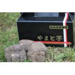 fu.... налог Shimane . юг блок производство Yamato imo(... клубень ) примерно 500g×3 шт [... Ямато ямс .....A-30] Shimane . юг блок 