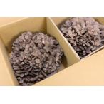 fu.... налог Shimane . юг блок производство сырой Mai .1 АО примерно 400g[.. . грибы .... пестициды не использование A-98] Shimane . юг блок 