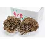 fu.... налог Shimane . юг блок производство сырой Mai . комплект примерно 400g×2 АО [.. . грибы .. для подарок ....A-93] Shimane . юг блок 