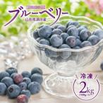 SA3081 訳あり 冷凍ブルーベリー 計2kg