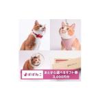 ぽぽねこ 券 Eメールタイプ 3,000円分