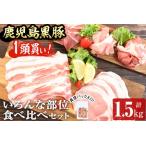 鹿児島黒豚1頭買い いろんな部位食べ比べ 計1.5kg