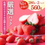 いちご 厳選 2パック×280g