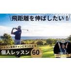 ゴルフ ドラコン現役世界チャンピオン 飛距離アップレッスン