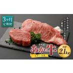 あか牛 ヒレ ステーキ 約300g