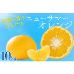 ニューサマーオレンジ 10kg箱セット