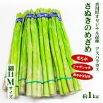 アスパラガス さぬきのめざめ 細目 Mサイズ