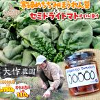 壮瞥産 大作農園の寒締めちぢみほうれん草