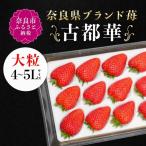 いちご 古都華 1P