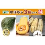 かぼちゃセット オーガニック デリカタ ロロン