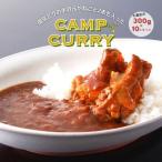 300gのレトルトカレー10食セット