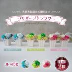 プリザーブドフラワー 2個セット