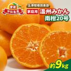 南柑20号 みかん 9kg