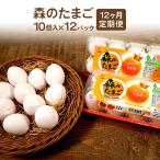 森のたまご 白 120個12ヶ月定期便 10個入り×12パック