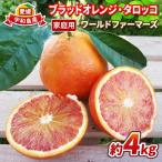 ブラッド オレンジ タロッコ 4kg