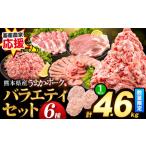 ふるさと納税 大容量！ 熊本 うまか ポーク 6種 バラエティ セット たっぷり！ 4.5kg 《30日以内に出荷予定(土日祝除く)》 しゃぶしゃぶ 小分け .. 熊本県大津町