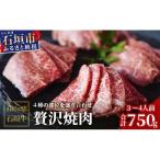 石垣の恵 石垣牛 贅沢焼肉 4種盛 KB-100