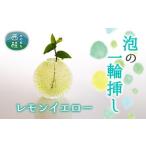 陶磁器 漆器 ガラス No.447 富士山麓で硝子職人が1点ずつ仕…