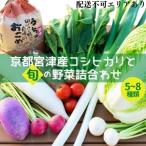 コシヒカリ と 旬の野菜詰合わせ お米 白米