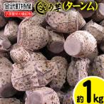 特産 笑う芋 田芋 ターンム 芋 いも たいも 田いも