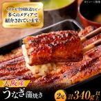 鰻 鰻の蒲焼き2尾セット BLAL001