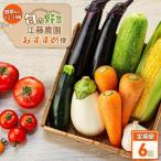 江藤農園 湯布院の旬の野菜 12~15種類