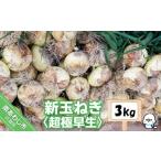 ショッピングふるさと納税 玉ねぎ ふるさと納税 新玉ねぎ　淡路島　南あわじ市　3ｋｇ　超極早生【配送２月下旬〜３月下旬】 兵庫県南あわじ市