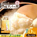 白米 さがびより5kg NAO039 全3回