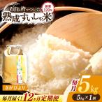 白米 さがびより5kg NAO041 全12回
