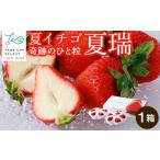 ふるさと納税 2025年発送☆【夏イチゴ】奇跡のひと粒「夏瑞」2パックセット 北海道ふるさと納税 イチゴ 東神楽産いちご 北海道東神楽町