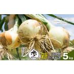 ショッピングふるさと納税 玉ねぎ ふるさと納税 【新たまねぎ】淡路島たまねぎ 歩-AYUMU- 5kg【発送時期：2026年3月〜5月頃】　 玉ねぎ 産地直送 甘い 玉ねぎ  兵庫県淡路市
