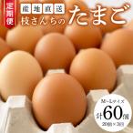 枝さんちのたまご 20個×3回