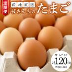 枝さんちのたまご 20個×6回