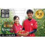 トマト好き全員集合 トマト トマト3か月お届けパック