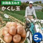 fu.... налог сейчас . ферма. Awaji Island лук репчатый [. расческа шар ] 5kg шар лук порей Hyogo префектура .. город 