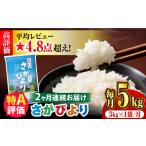 〈受付一時停止中〉 さがびより 計10kg