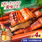 うなぎ蒲焼2尾&白焼き2尾セット うなぎ
